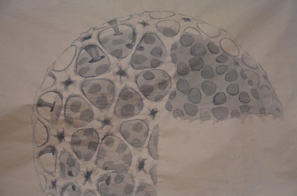 Structure, shape and function, 2012