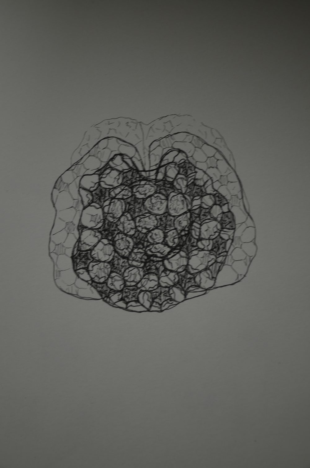 Structure, shape and function, 2012