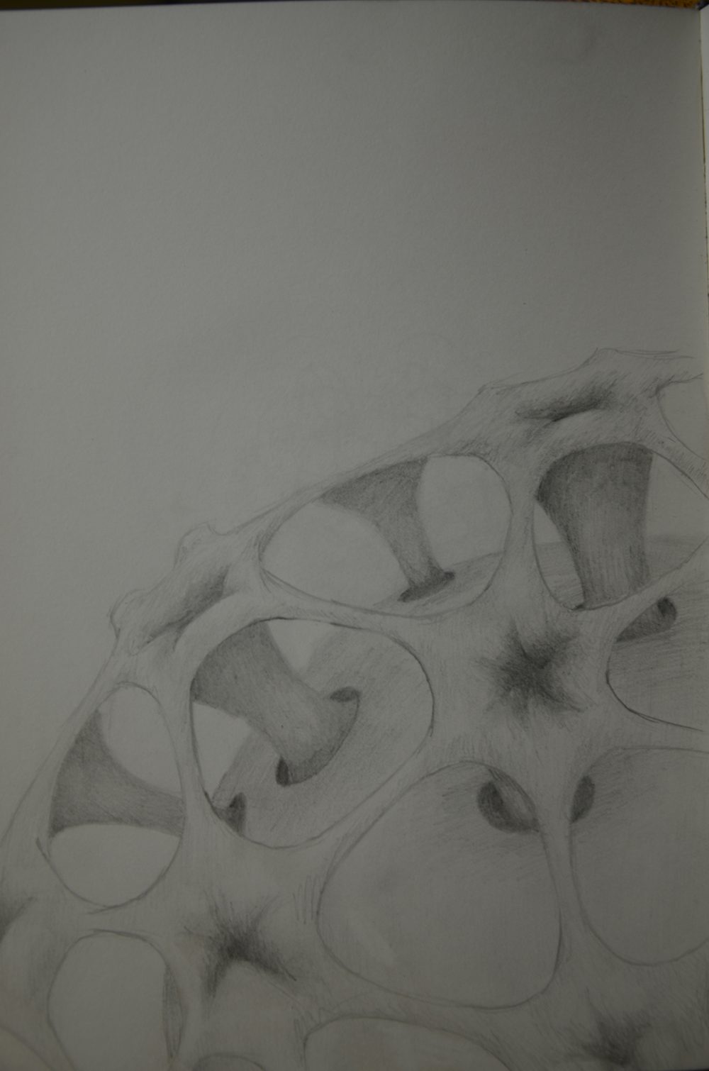 Structure, shape and function, 2012