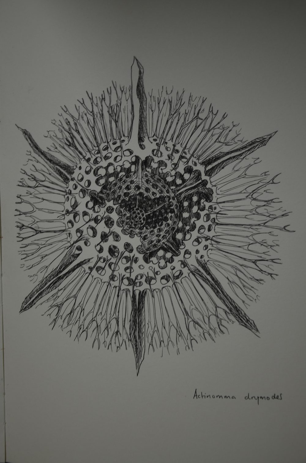 Structure, shape and function, 2012