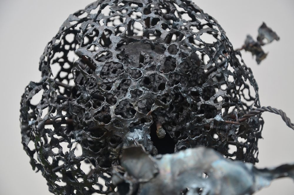 Structure, shape and function, 2012