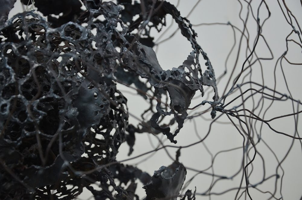 Structure, shape and function, 2012